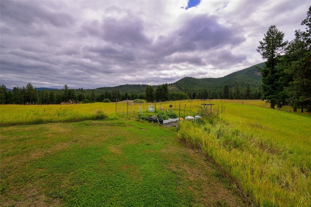 510 Johnson Ln, Superior, MT 59872 - view of grassy yard featuring a view of rural / pastoral area, a mountain view, and a wooded view
