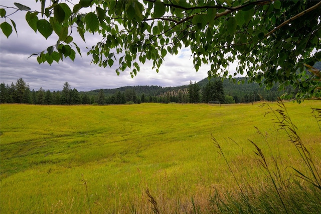 510 Johnson Ln, Superior, MT 59872 - view of tree filled area featuring a view of rural / pastoral area