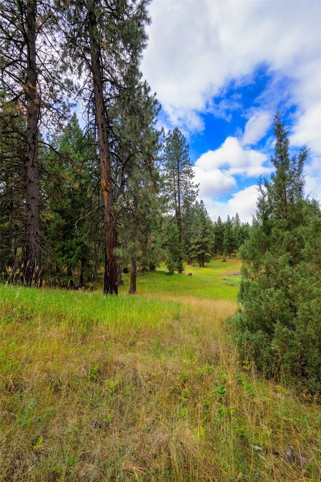 510 Johnson Ln, Superior, MT 59872 - view of tree filled area