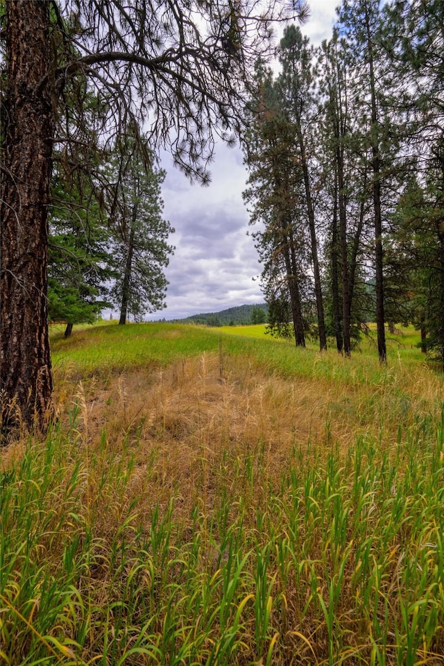 510 Johnson Ln, Superior, MT 59872 - view of undeveloped land