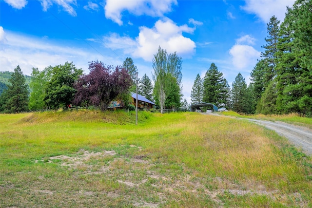 510 Johnson Ln, Superior, MT 59872 - view of yard featuring a carport and driveway