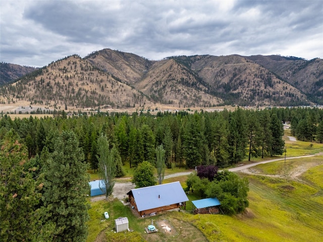 510 Johnson Ln, Superior, MT 59872 - view of mountain background