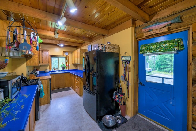 510 Johnson Ln, Superior, MT 59872 - kitchen featuring appliances with stainless steel finishes, wooden ceiling, plenty of natural light, beam ceiling, and a sink