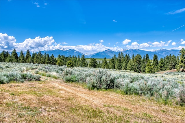 3661 Sagehill Dr, Stevensville MT, 59870 land for sale