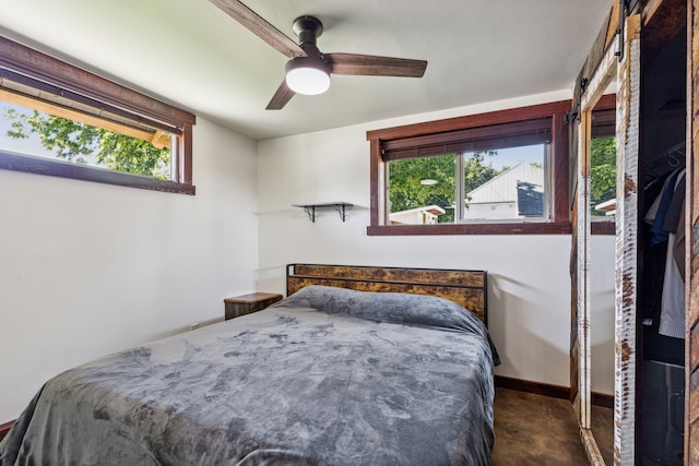 carpeted bedroom with multiple windows and ceiling fan