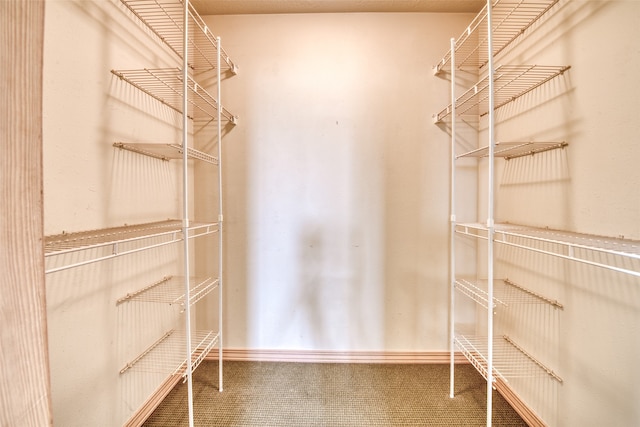 spacious closet featuring carpet flooring