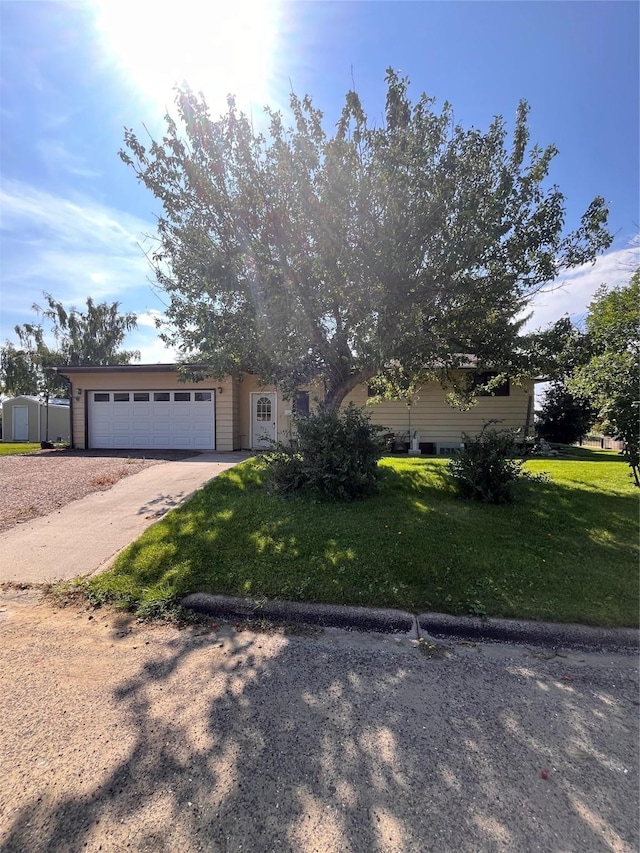 view of property hidden behind natural elements featuring a garage, driveway, and a front lawn