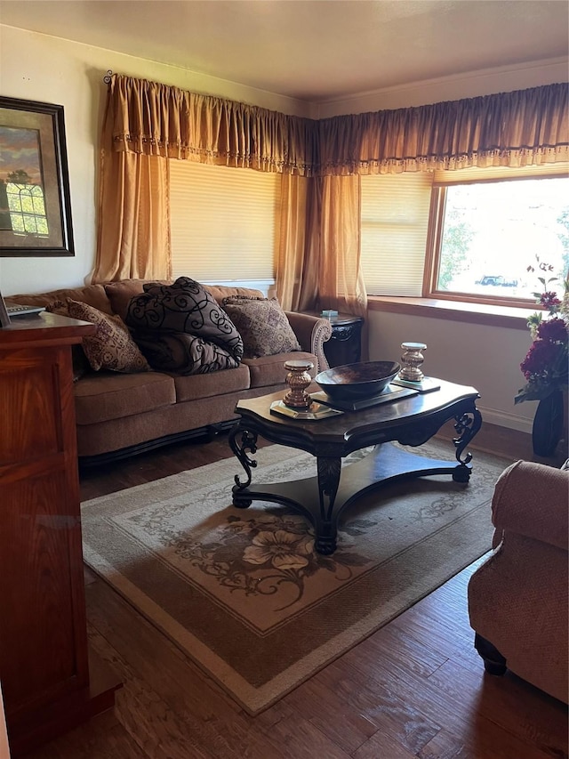 living room featuring wood finished floors