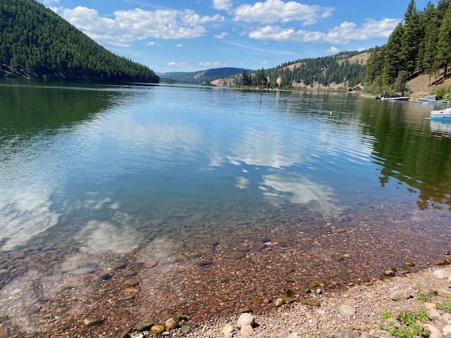 SalmonLakefrontLot Highway 83 N, Seeley Lake MT, 59868 land for sale