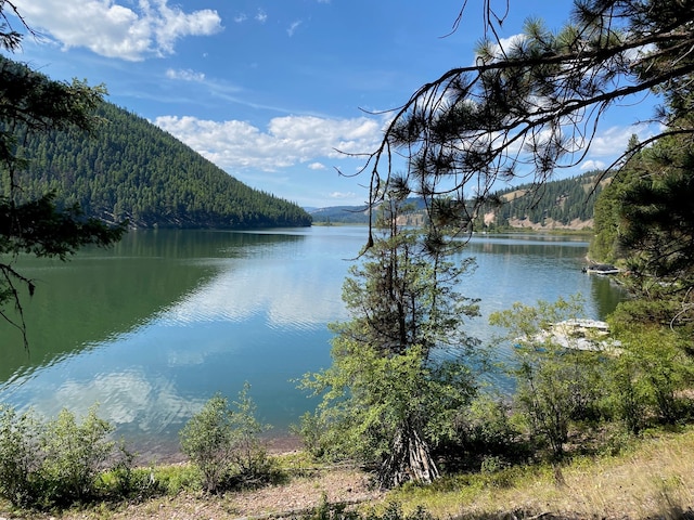 Listing photo 3 for NHN Highway 83 N, Seeley Lake MT 59868