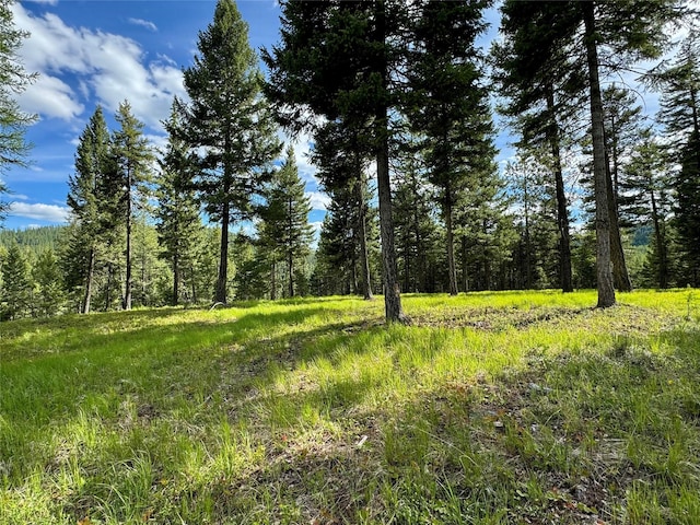 91 Hunt Ln, Kalispell MT, 59901 land for sale