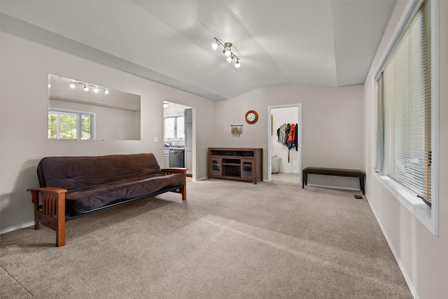 125 Ponderosa Ln, Kalispell, MT 59901 - living room with vaulted ceiling, light colored carpet, and track lighting