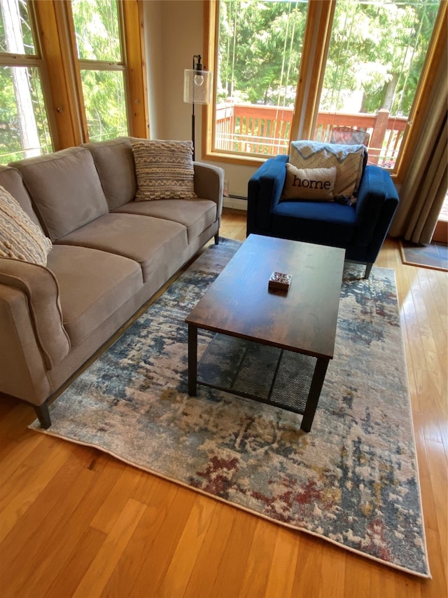 living room with baseboard heating and hardwood / wood-style floors