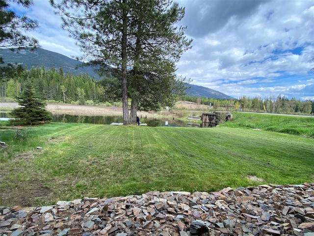 view of yard with a water and mountain view