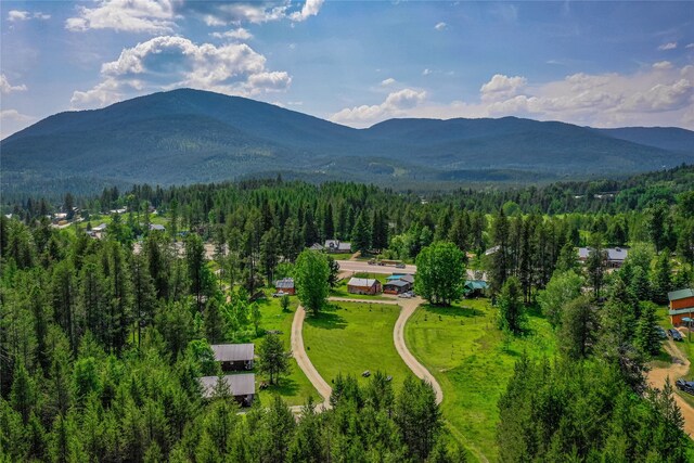 bird's eye view featuring a mountain view