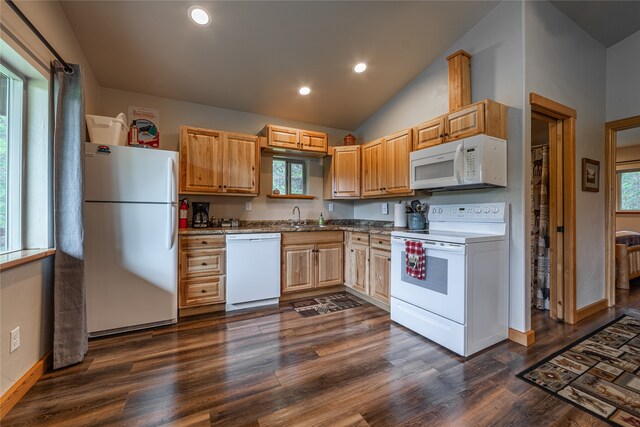 kitchen featuring a wealth of natural light, dark hardwood / wood-style floors, and white appliances