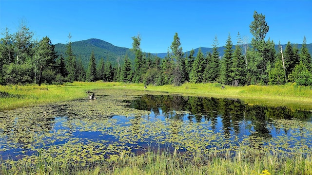 Listing photo 2 for NHN Trout Creek Rd, Trout Creek MT 59874