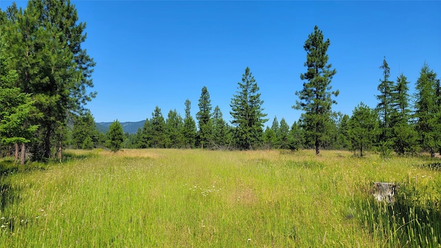 Listing photo 3 for NHN Trout Creek Rd, Trout Creek MT 59874