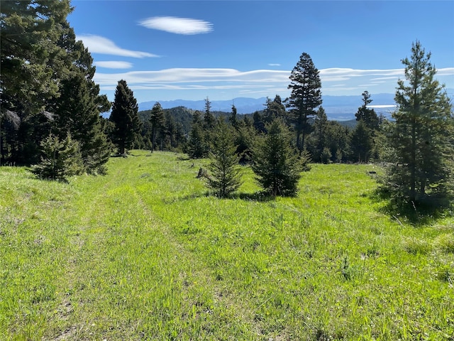 320A Turk Rd, Helena MT, 59602 land for sale