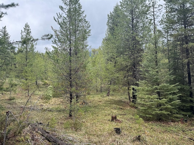 965 Ksanka Foothills Rd, Eureka, MT 59917 - view of local wilderness featuring a view of trees