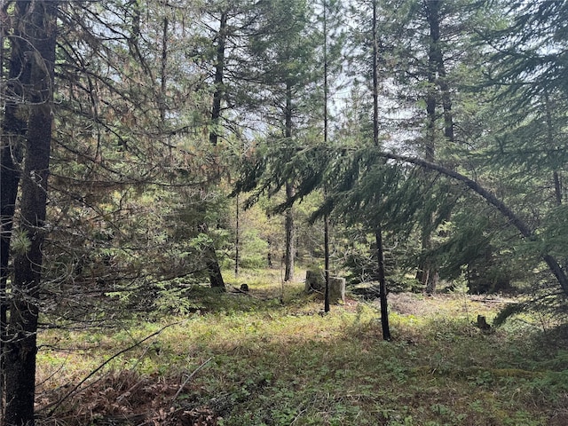 965 Ksanka Foothills Rd, Eureka, MT 59917 - view of nature featuring a view of trees