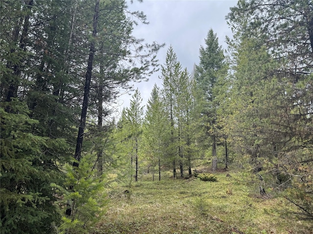 965 Ksanka Foothills Rd, Eureka, MT 59917 - view of local wilderness featuring a forest view