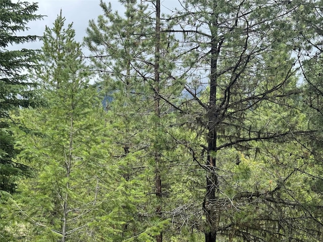 965 Ksanka Foothills Rd, Eureka, MT 59917 - view of local wilderness with a wooded view