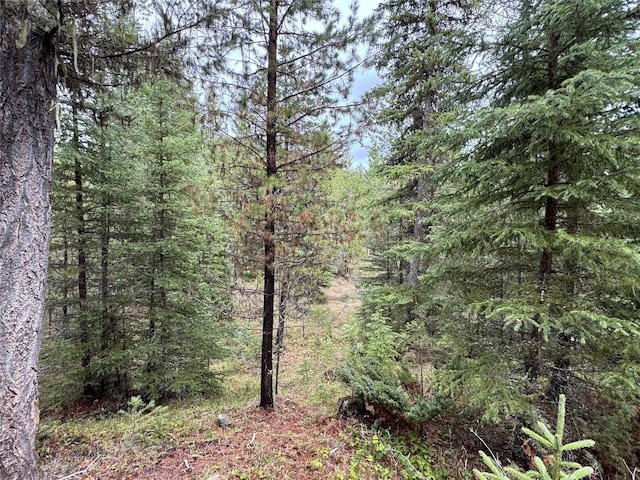 965 Ksanka Foothills Rd, Eureka, MT 59917 - view of landscape featuring a view of trees
