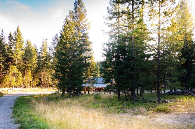 965 Ksanka Foothills Rd, Eureka, MT 59917 - exterior space