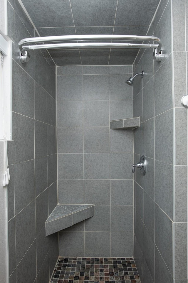 bathroom with a shower stall