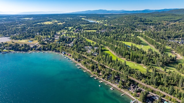 bird's eye view featuring a water and mountain view