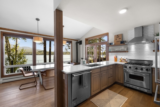 kitchen with vaulted ceiling, dark hardwood / wood-style flooring, appliances with stainless steel finishes, sink, and wall chimney range hood