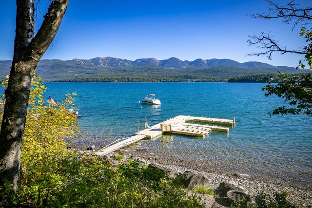 1320 W Lakeshore Dr, Whitefish, MT 59937 - dock featuring a water and mountain view