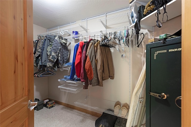 spacious closet featuring carpet floors