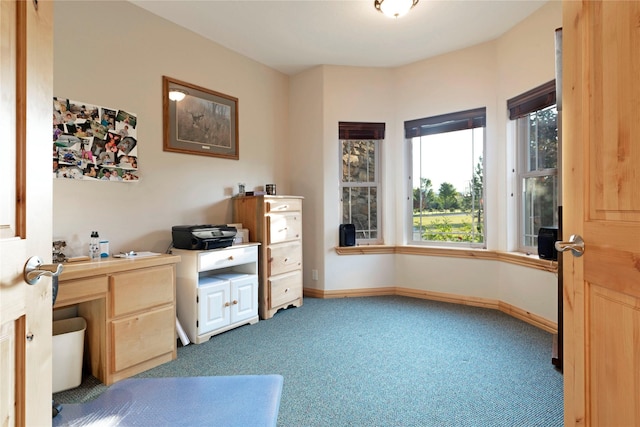 carpeted office with baseboards