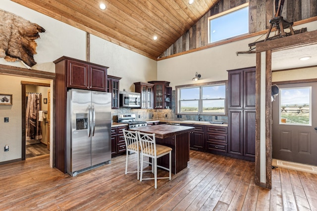 kitchen featuring dark brown cabinets, high vaulted ceiling, stainless steel appliances, and a kitchen island