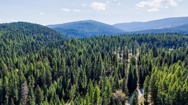 419 Meadow Creek Trl, Fortine, MT 59918