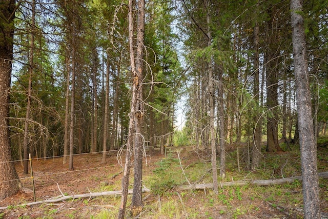 419 Meadow Creek Trl, Fortine, MT 59918
