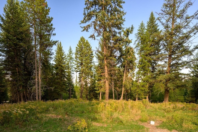 419 Meadow Creek Trl, Fortine, MT 59918