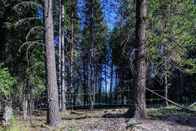 419 Meadow Creek Trl, Fortine, MT 59918