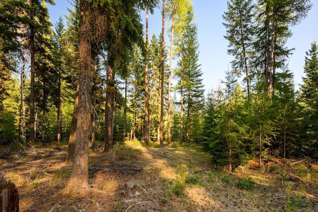419 Meadow Creek Trl, Fortine, MT 59918