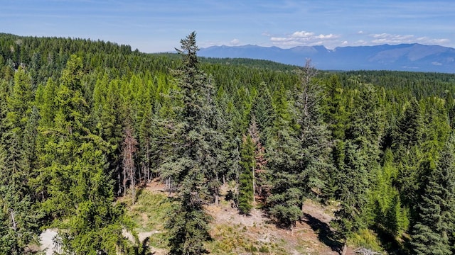 419 Meadow Creek Trl, Fortine, MT 59918