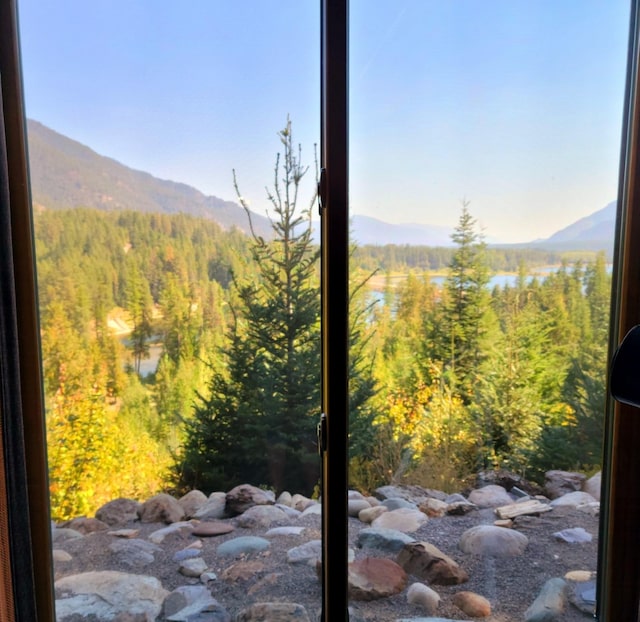 mountain view with a forest view