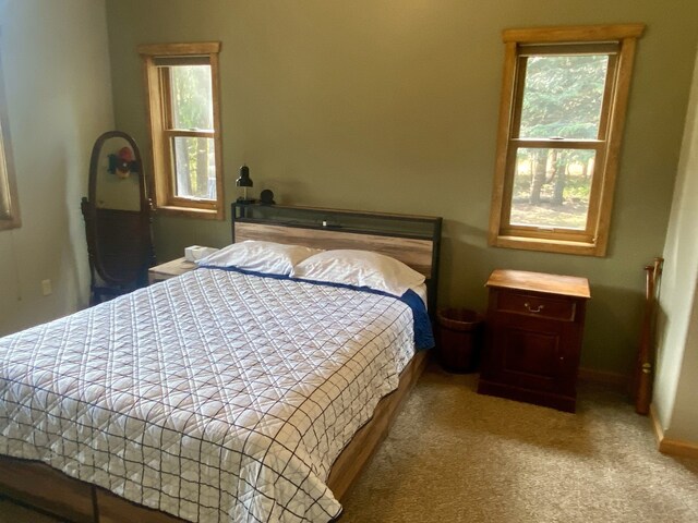 bedroom with carpet, baseboards, and multiple windows