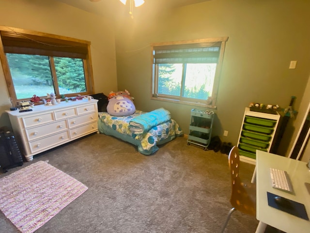 bedroom with dark carpet