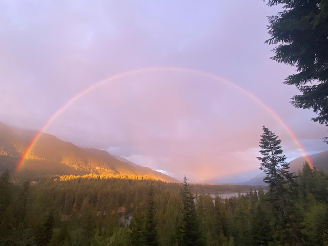 2 Rainbow Ct, Noxon, MT 59853 - view of mountain backdrop featuring a forest