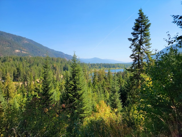 view of mountain feature with a view of trees and a water view