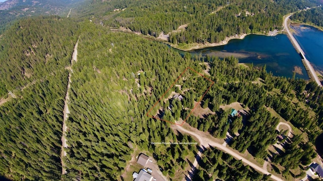 aerial view featuring a forest view and a water view