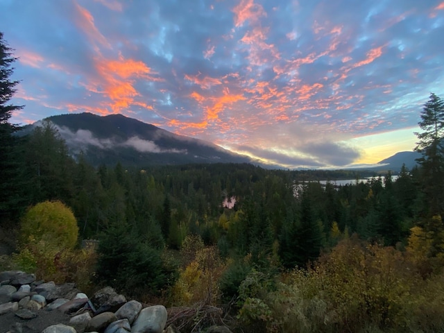 property view of mountains featuring a wooded view