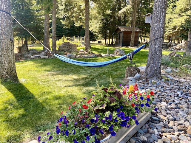 2 Rainbow Ct, Noxon, MT 59853 - view of green lawn with a shed